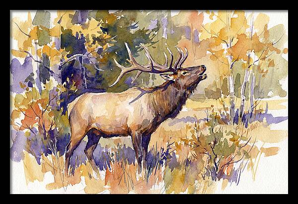 Elk In Autumn Splendor
