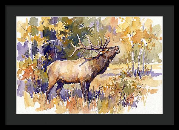 Elk In Autumn Splendor