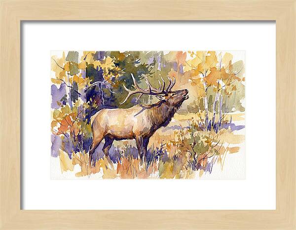 Elk In Autumn Splendor