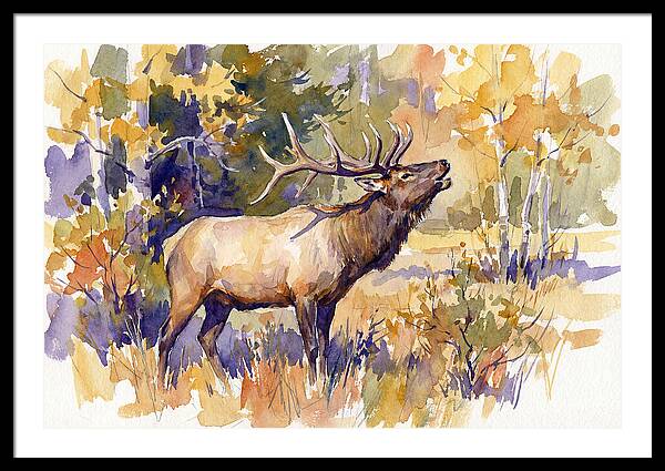 Elk In Autumn Splendor