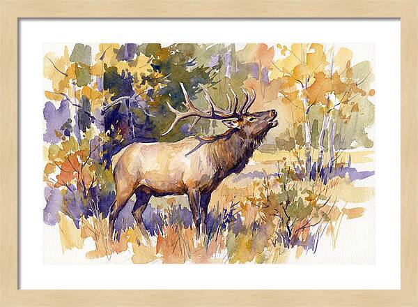 Elk In Autumn Splendor