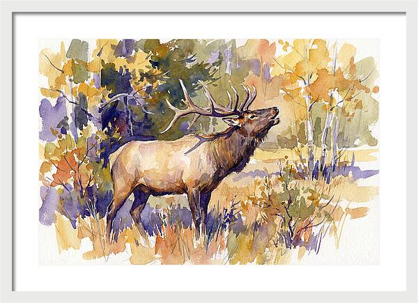 Elk In Autumn Splendor