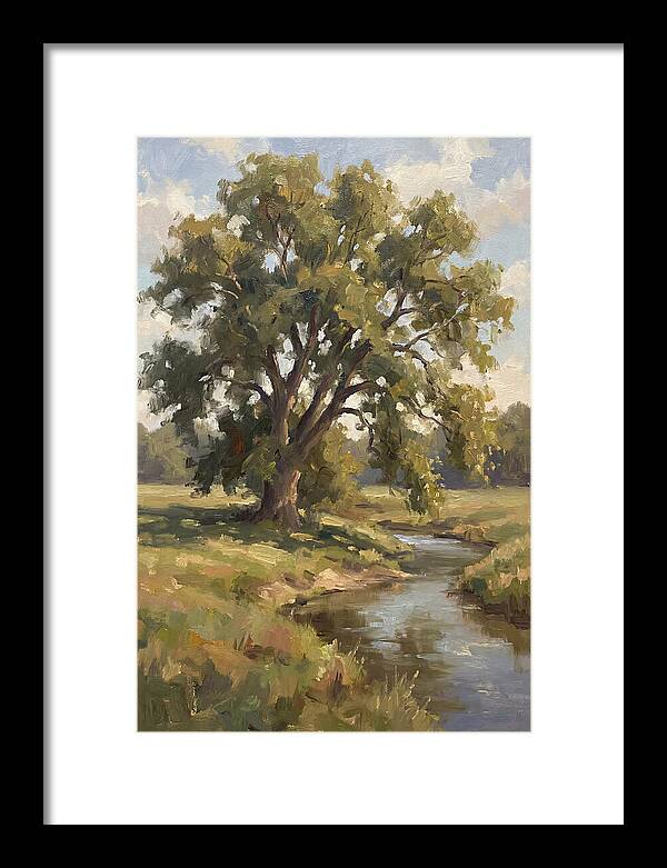 Elm Tree By The Stream