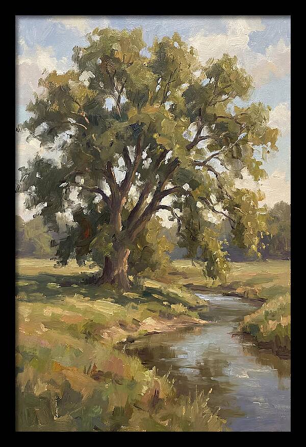 Elm Tree By The Stream