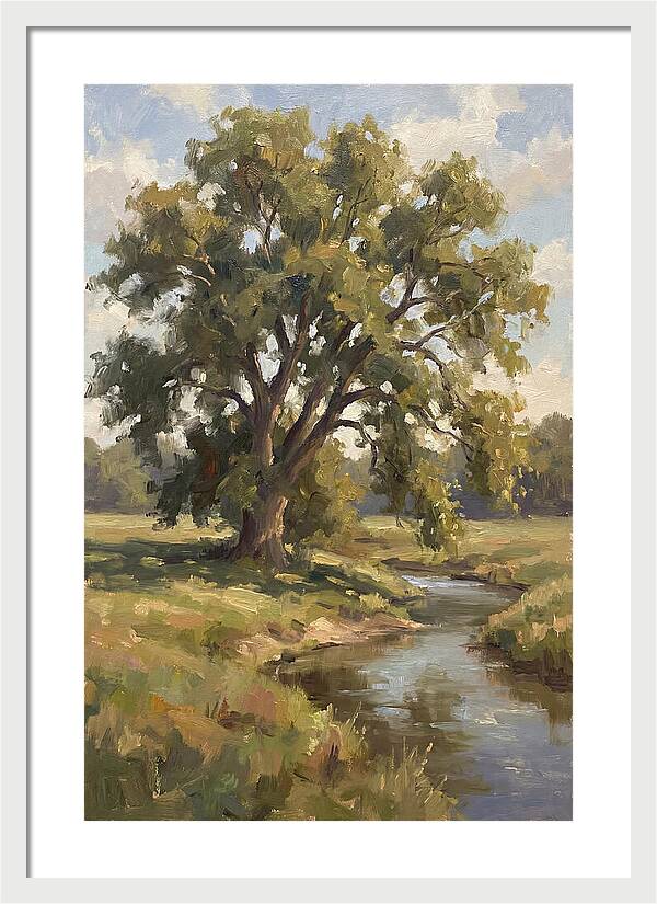 Elm Tree By The Stream