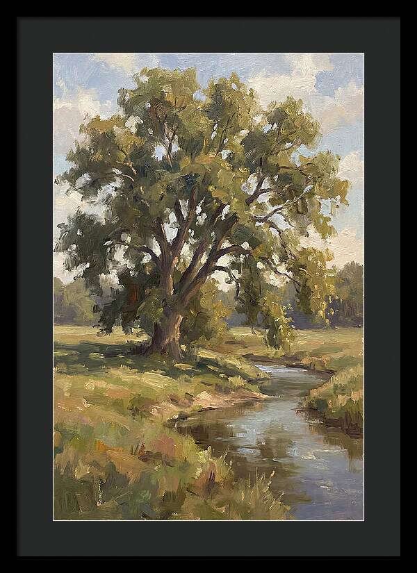 Elm Tree By The Stream
