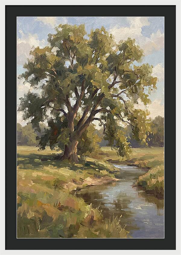 Elm Tree By The Stream