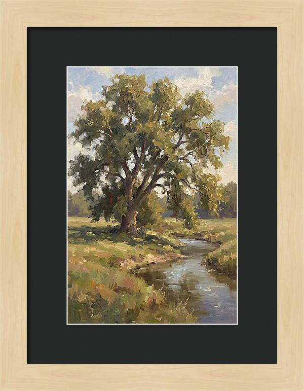 Elm Tree By The Stream