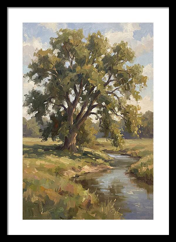 Elm Tree By The Stream