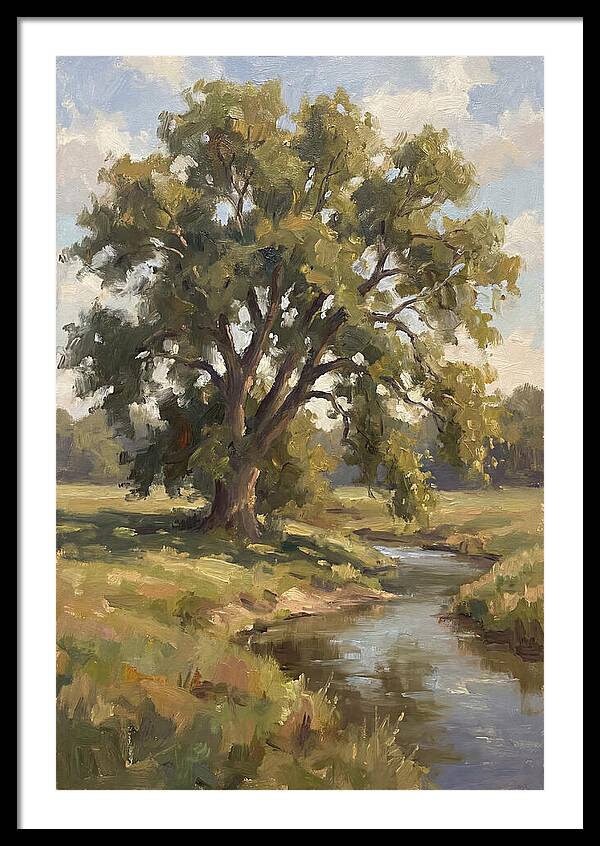 Elm Tree By The Stream