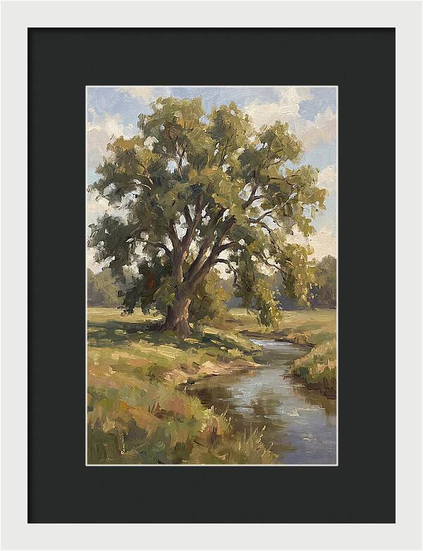 Elm Tree By The Stream