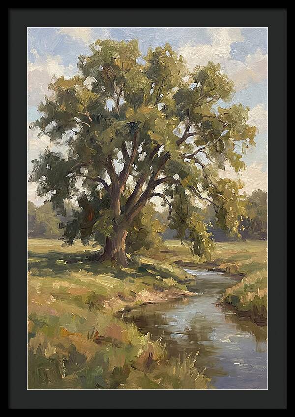 Elm Tree By The Stream