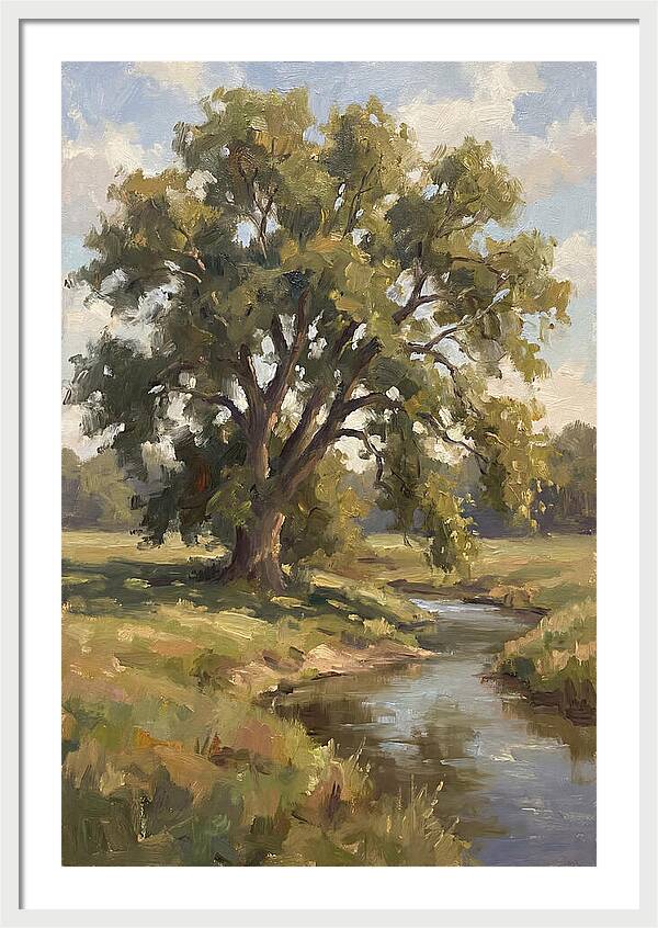 Elm Tree By The Stream
