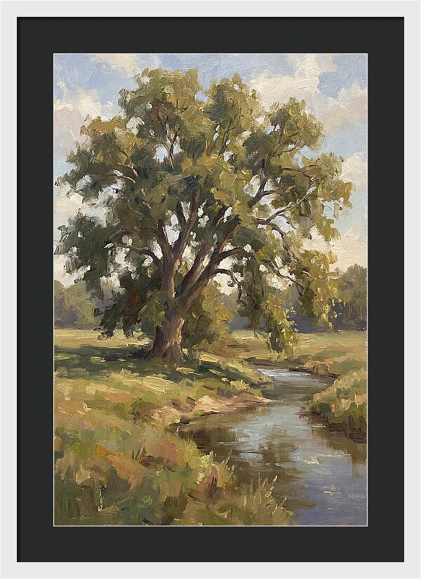 Elm Tree By The Stream