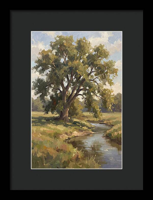 Elm Tree By The Stream