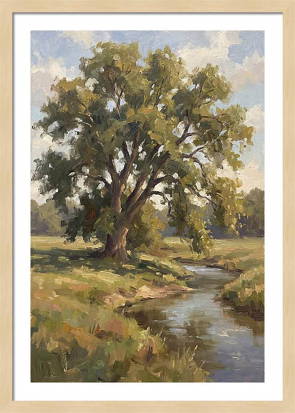 Elm Tree By The Stream