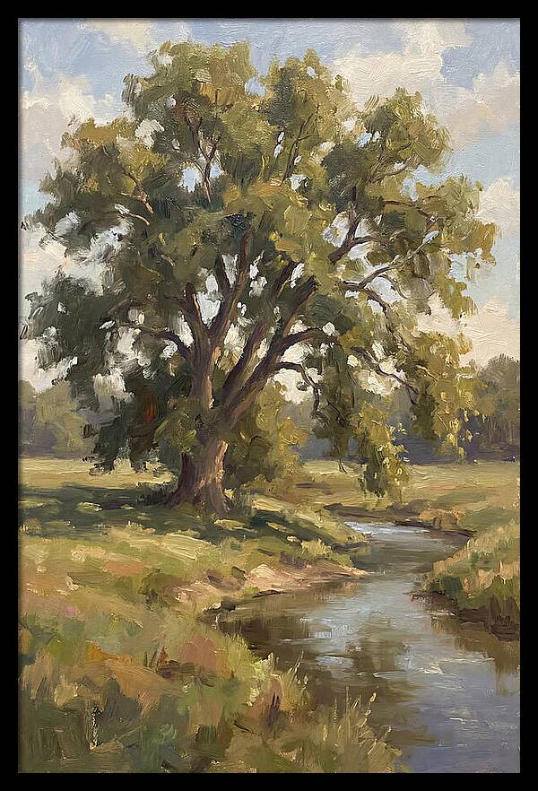 Elm Tree By The Stream
