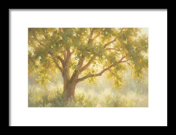 Elm Tree