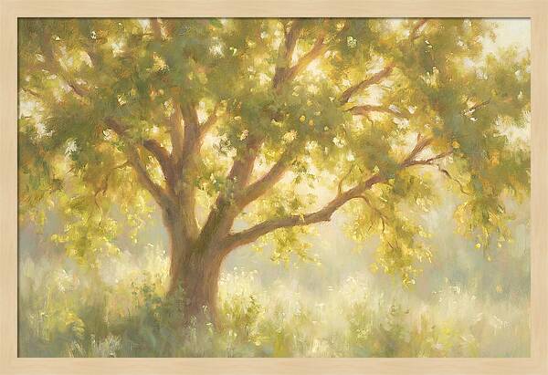Elm Tree