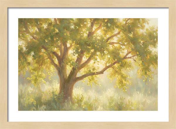 Elm Tree