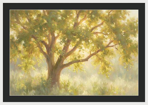 Elm Tree