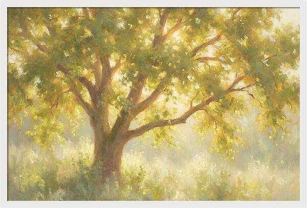 Elm Tree