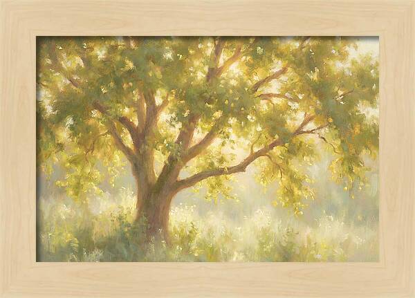 Elm Tree