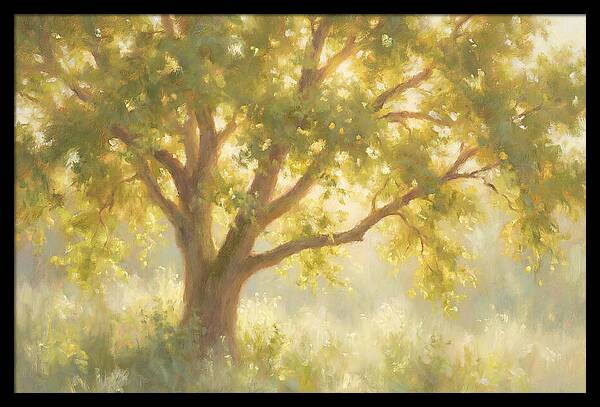 Elm Tree