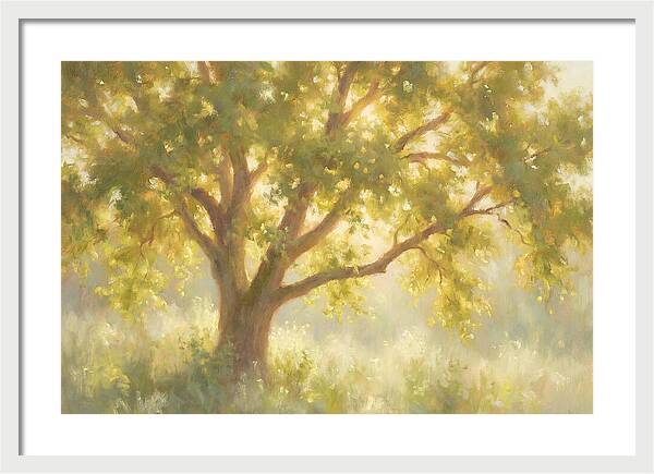 Elm Tree