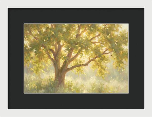 Elm Tree