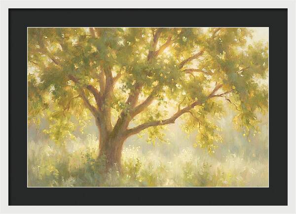 Elm Tree