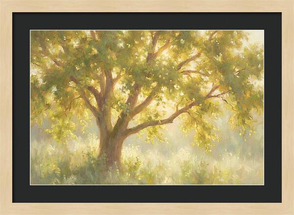 Elm Tree
