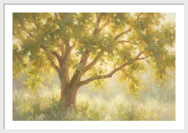 Elm Tree