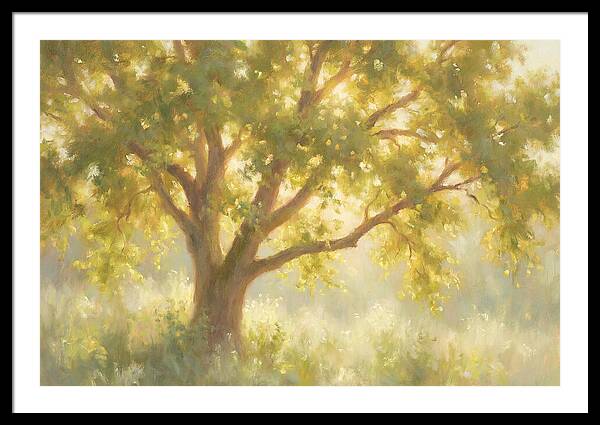 Elm Tree