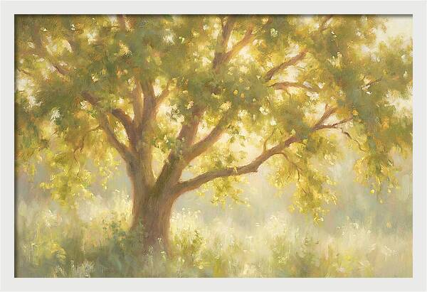 Elm Tree