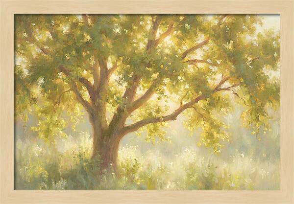 Elm Tree