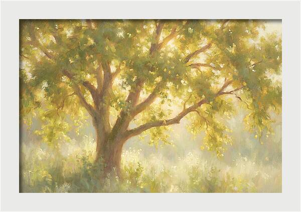 Elm Tree