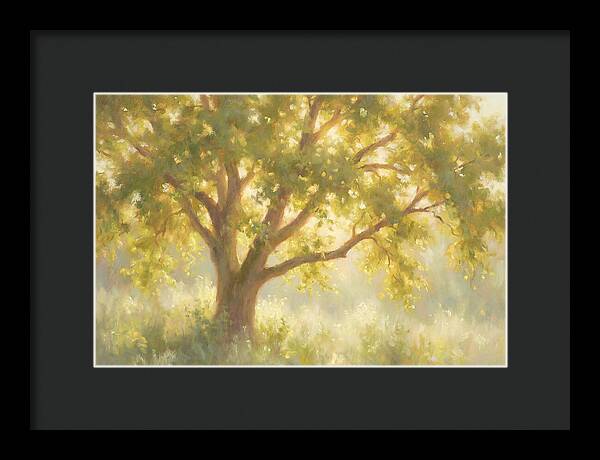Elm Tree
