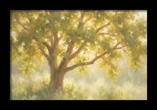 Elm Tree