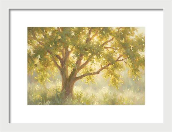 Elm Tree