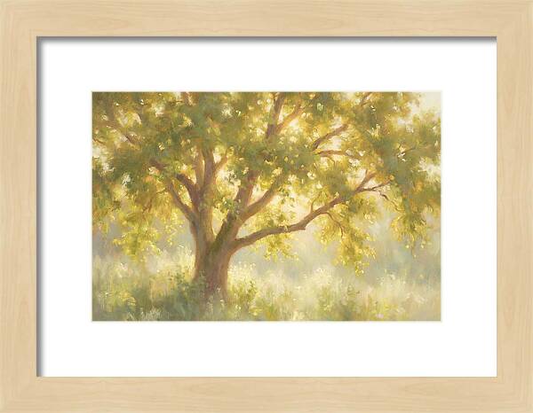 Elm Tree