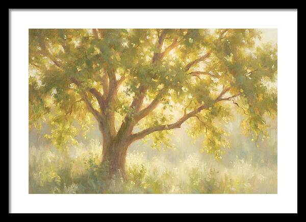 Elm Tree