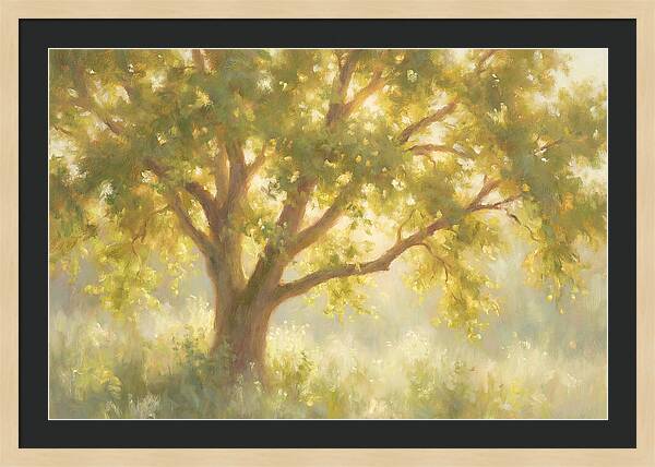 Elm Tree