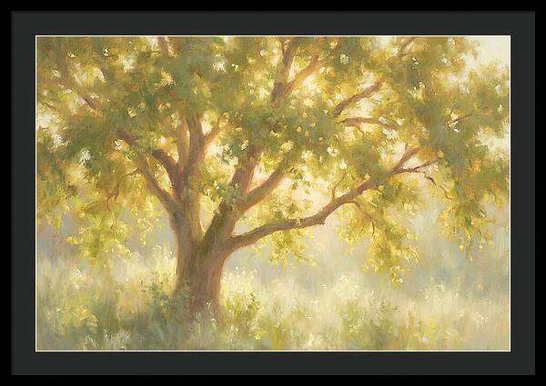 Elm Tree