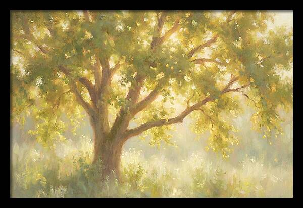 Elm Tree