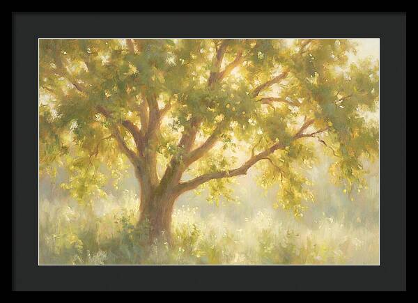 Elm Tree