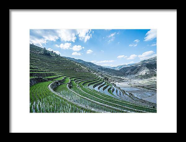 Emerald Rice Terraces Cascading Down Hill
