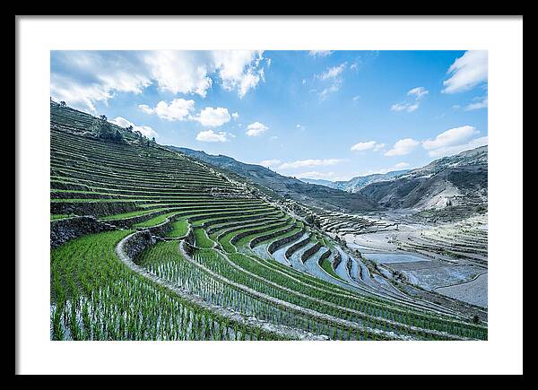 Emerald Rice Terraces Cascading Down Hill