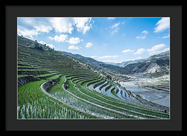 Emerald Rice Terraces Cascading Down Hill