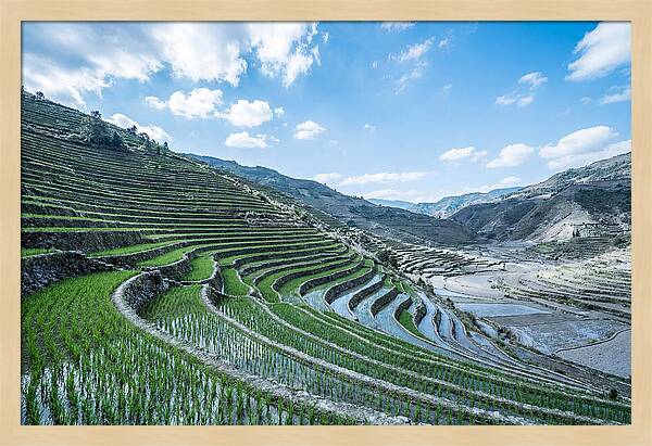 Emerald Rice Terraces Cascading Down Hill